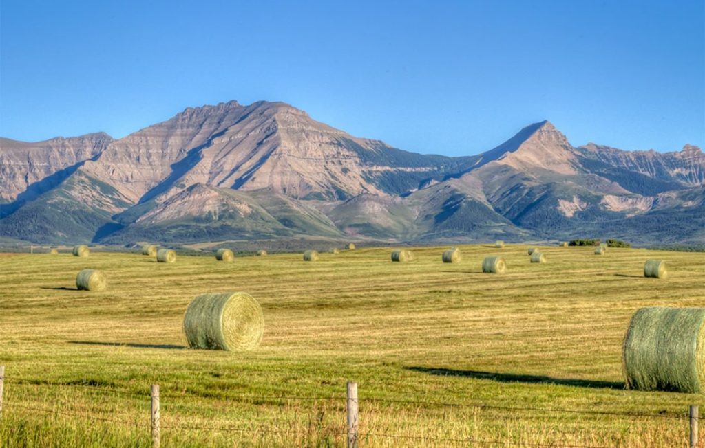 Agricultural fields in Alberta